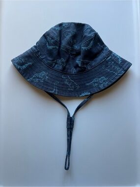 Dinosaur Baby Hat
